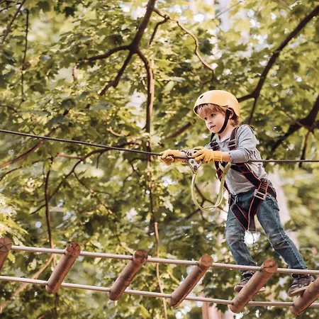 Château De Fontanges 4*