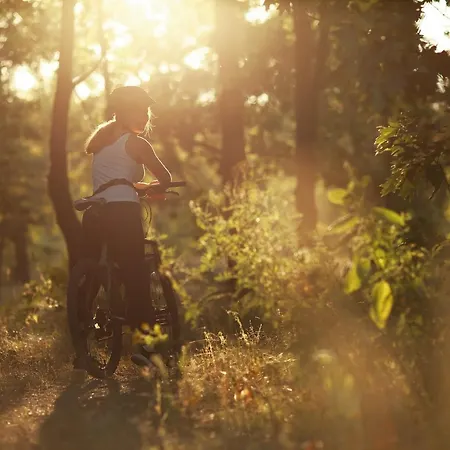 Château De Fontanges Onet-le-Château