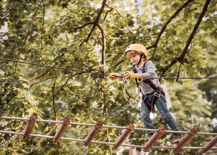 Chateau De Fontanges 4*