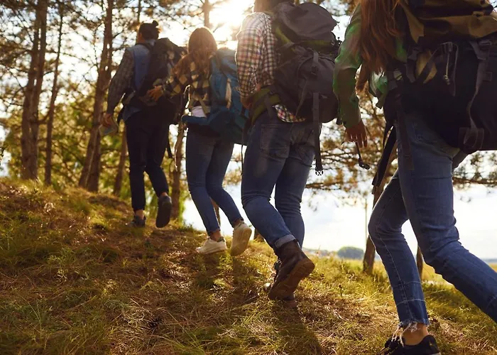 Chateau De Fontanges Отель