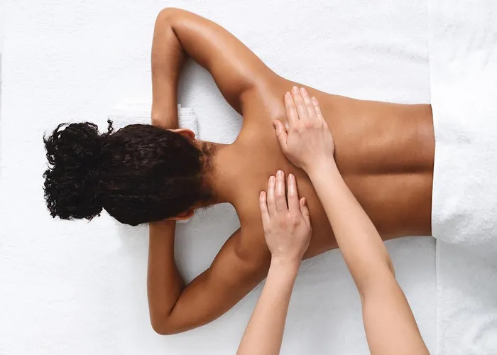 Отель Chateau De Fontanges 4*