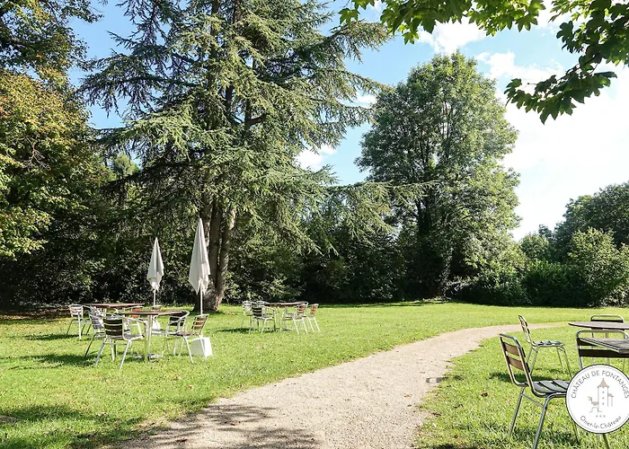 Отель Chateau De Fontanges 4*