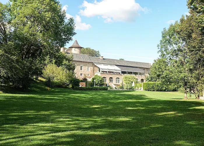 Отель Chateau De Fontanges 4*