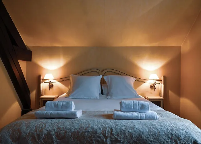 Chateau De Fontanges Отель 4*