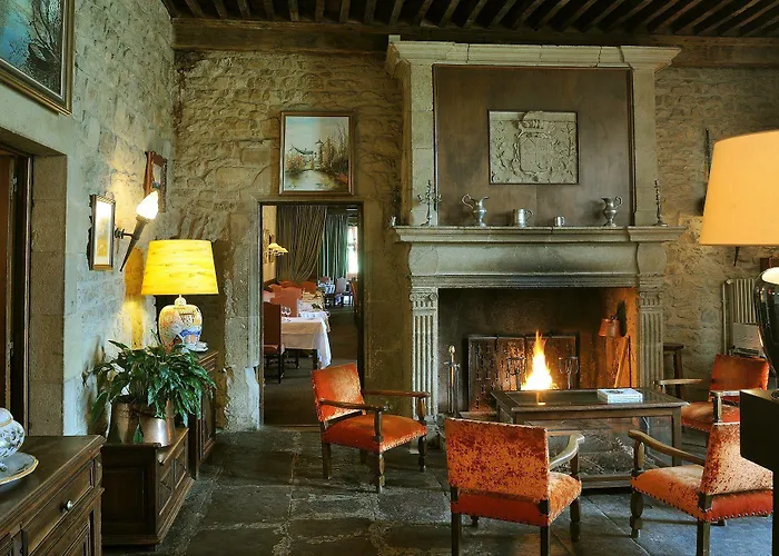 Отель Chateau De Fontanges 4*