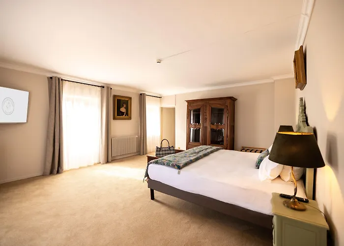 Отель Chateau De Fontanges 4*